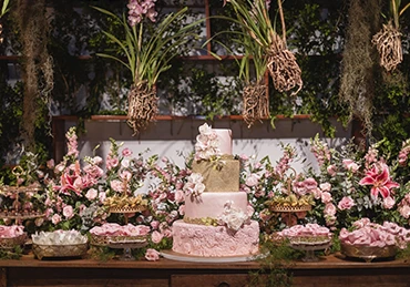 Festa de 15 anos imagem 3